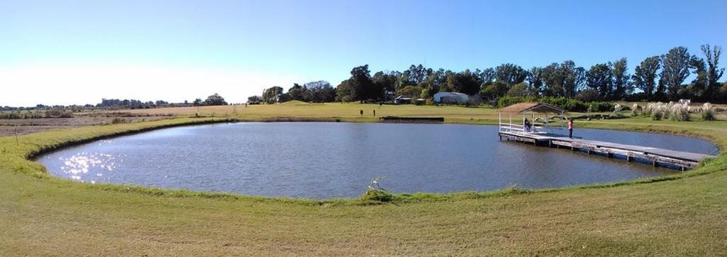 un estanque con un muelle en medio de un campo en Campo & Golf en Victoria
