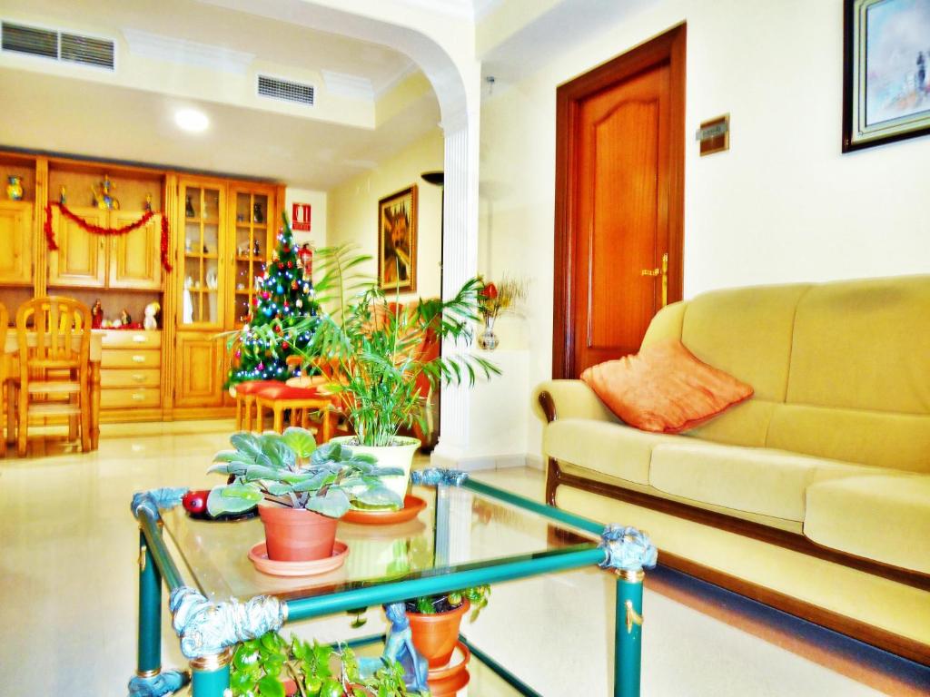 Martin House & Granada في غرناطة: غرفة معيشة مع أريكة وشجرة عيد الميلاد