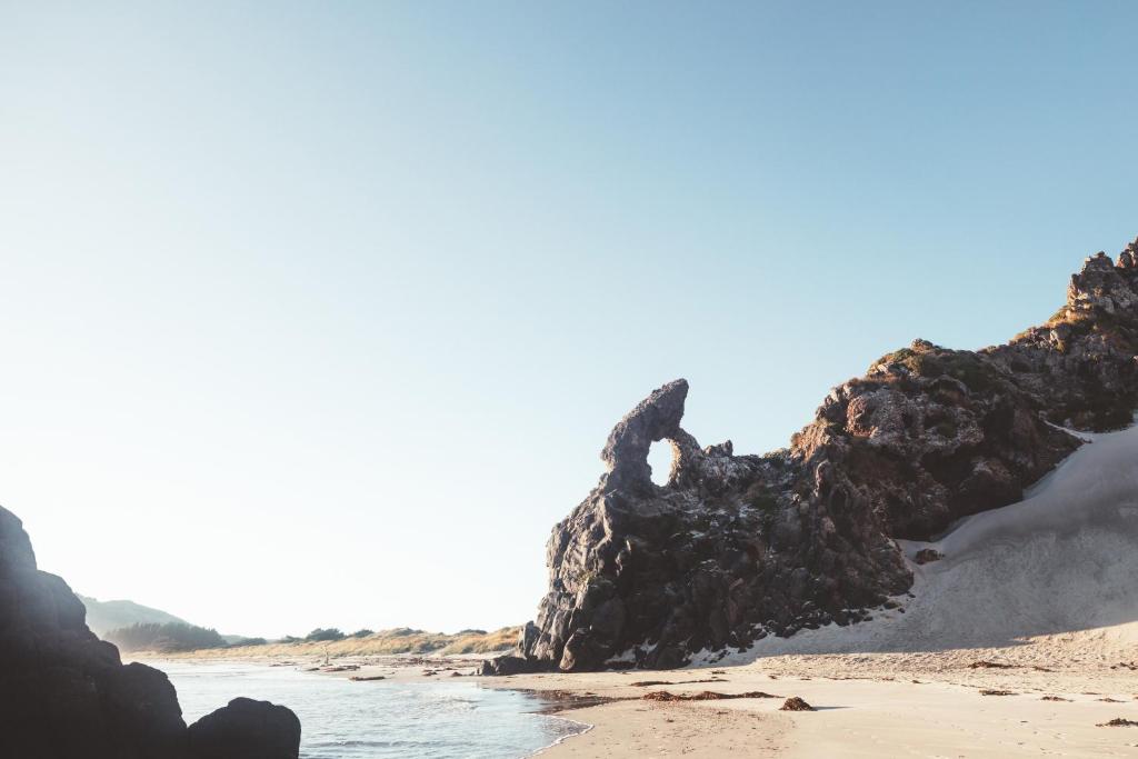 Ebb-Dunedin - Resim 31