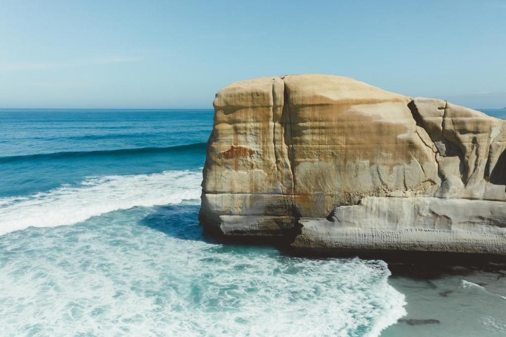 Ebb-Dunedin - Resim 19