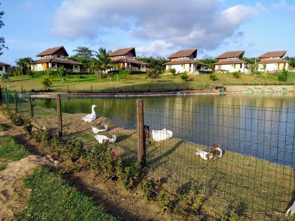  Gravatá Winterville Residence