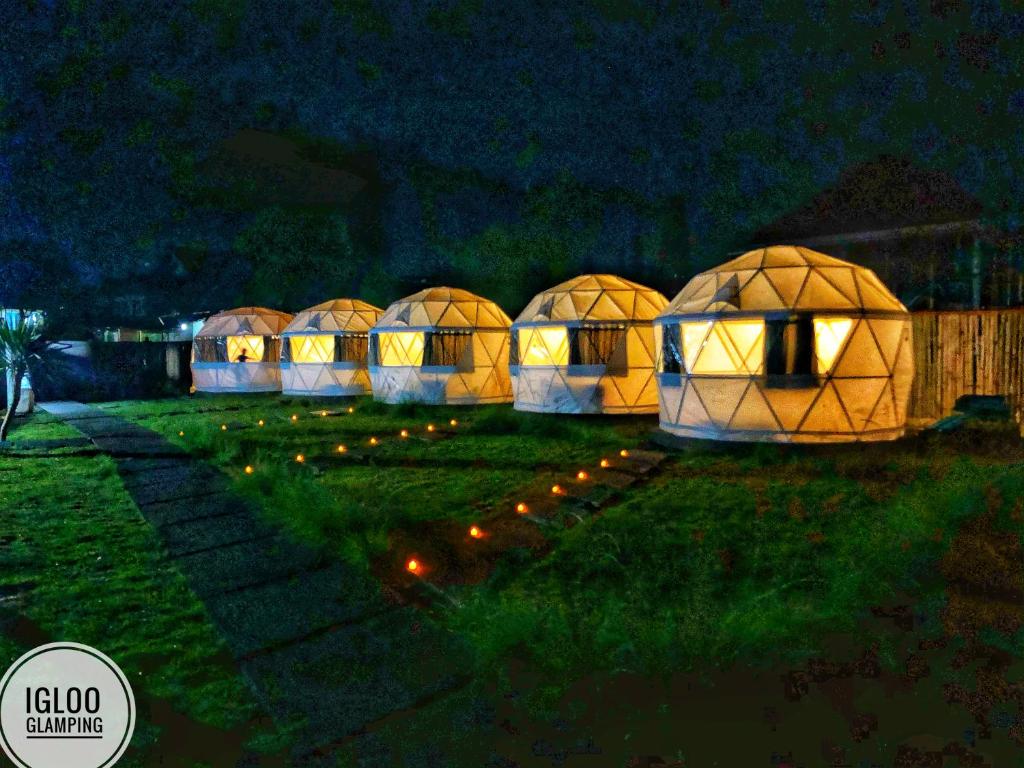a row of domes in a field at night at Igloo Glamping Bali in Kintamani