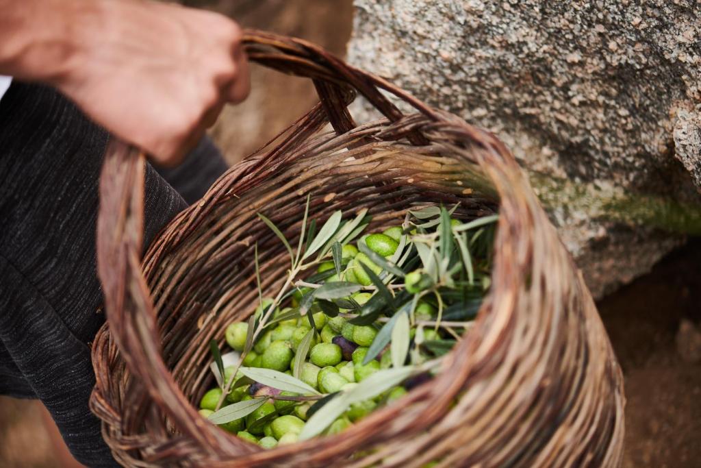 Zdjęcie z galerii obiektu Cascioni Eco Retreat w mieście Arzachena
