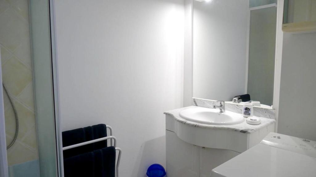 uma casa de banho branca com um lavatório e um espelho em Appartement d'une chambre avec vue sur la mer balcon amenage et wifi a Les Trois Bassins a 1 km de la plage em Le Bois de Nèfles