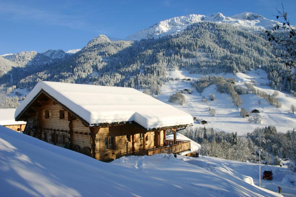 オトリュスにあるAppartement de 2 chambres a Hauteluce a 800 m des pistes avec jardin amenage et wifiの山を背景にした雪の小屋