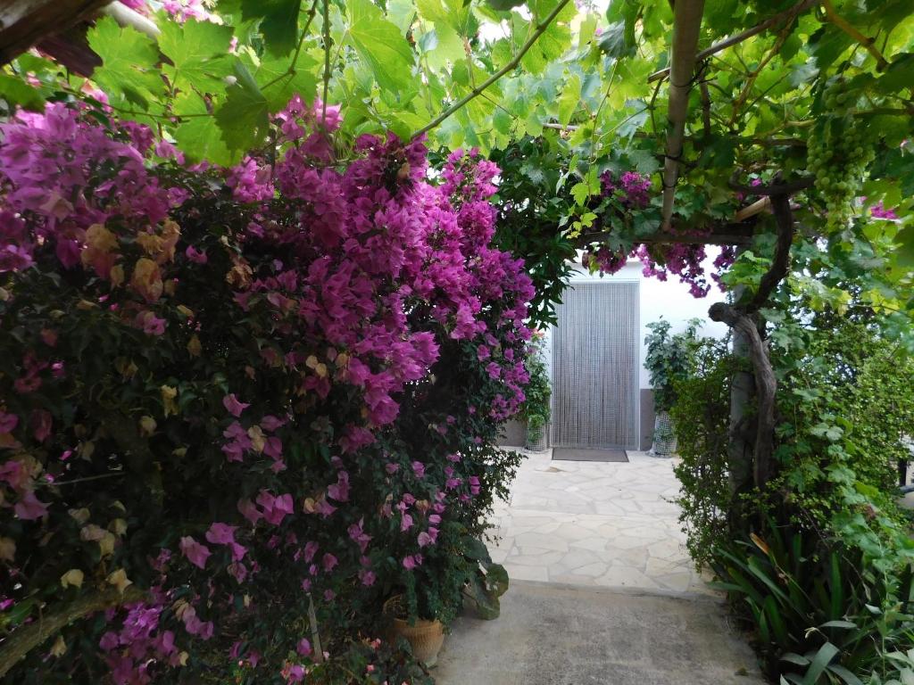 Zahrada ubytování Elegant Villa in Sant Miquel de Balansat with Private Pool