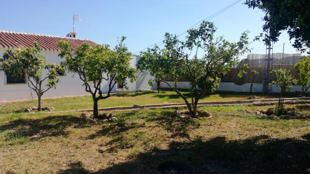 Vonkajšia záhrada v ubytovaní Luxury Villa in Frigiliana