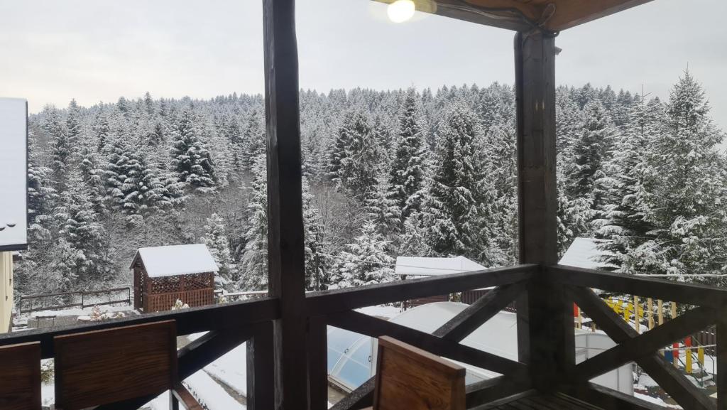 Fotografie z fotogalerie ubytování VILLA PARAISO v destinaci Schidnycja