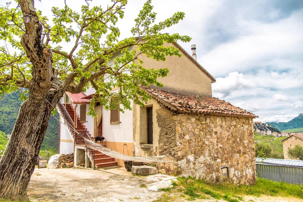 Una casa vieja con un árbol delante. en 2 bedrooms house with city view and wifi at Laurino, en Laurino