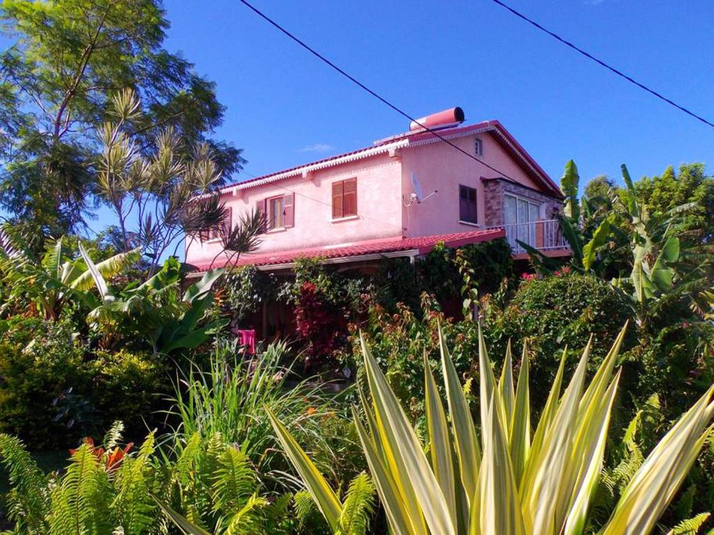 una casa rosa sentada en la cima de un bosque en Appartement de 3 chambres avec vue sur la mer jardin clos et wifi a Le Tampon a 8 km de la plage, en Le Tampon