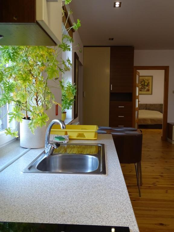 Apartamenty w Ustce - Apartment - Ground Floor (4 Adults)