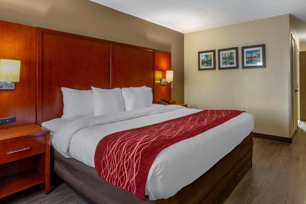 Comfort Inn Fort Mill Amusement Park at Carowinds Blvd photo