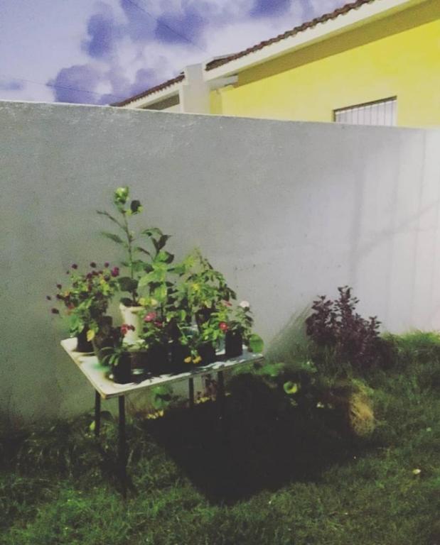  Casa das flores