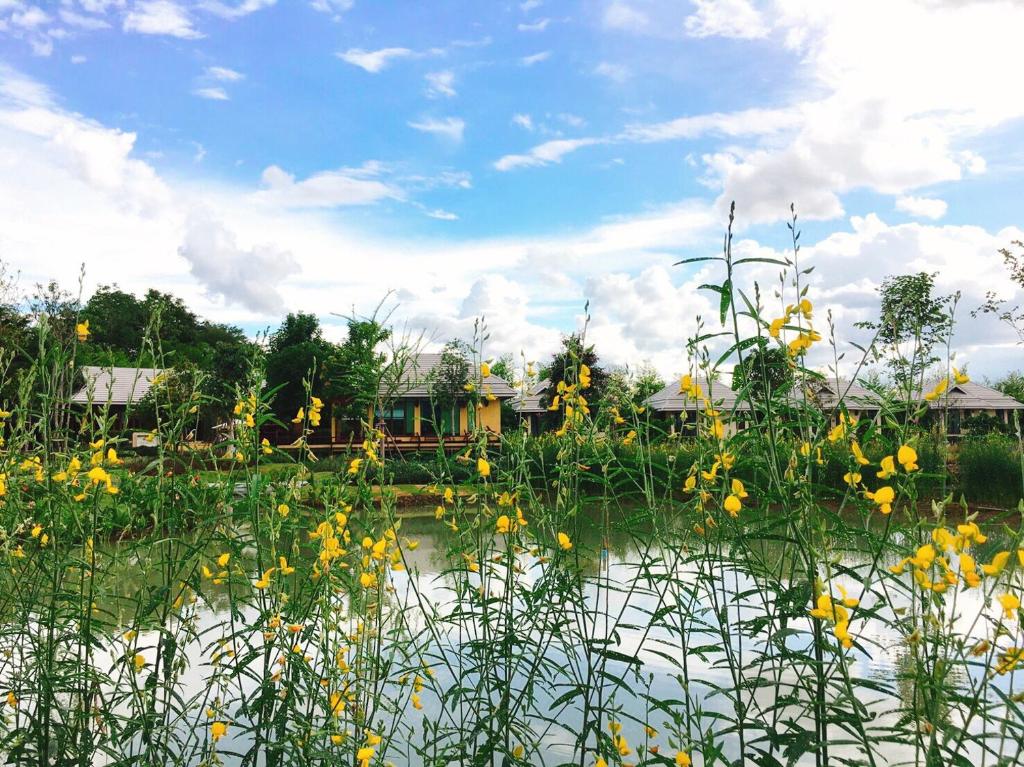 Chapulin Natural Resort - Resim 12