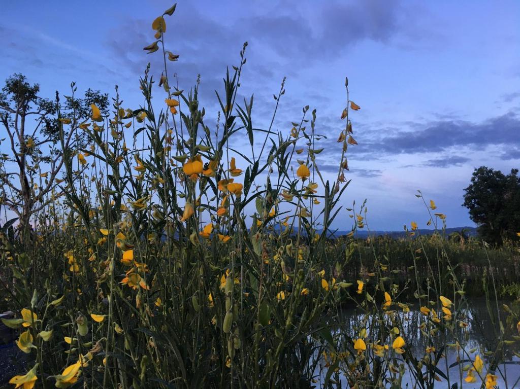 Chapulin Natural Resort - Resim 11