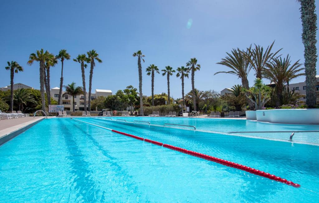 una piscina con palmeras en el fondo en Los Zocos Impressive Lanzarote en Costa Teguise