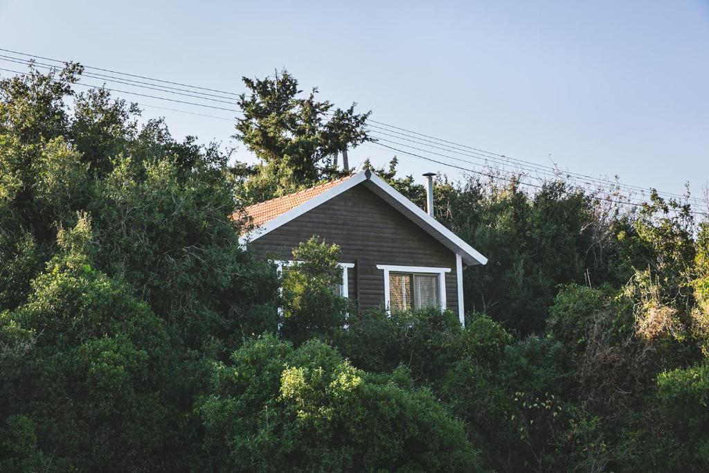 a small house in the midst of trees at Live in the woods in Mikhmannim