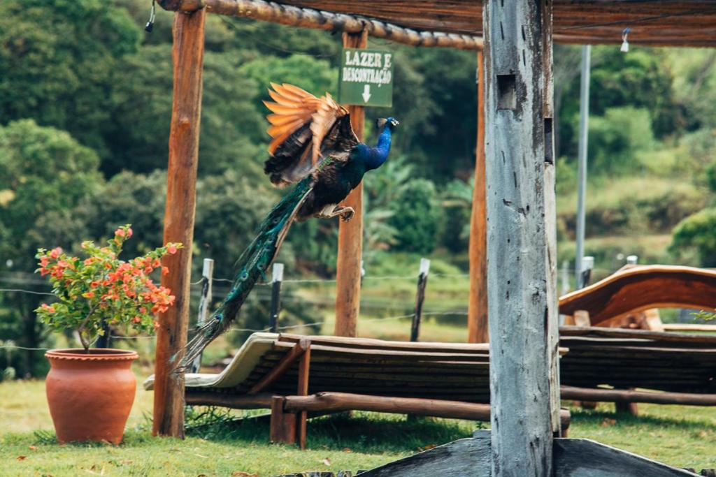  Hotel Fazenda Pedra Do Rodeadouro