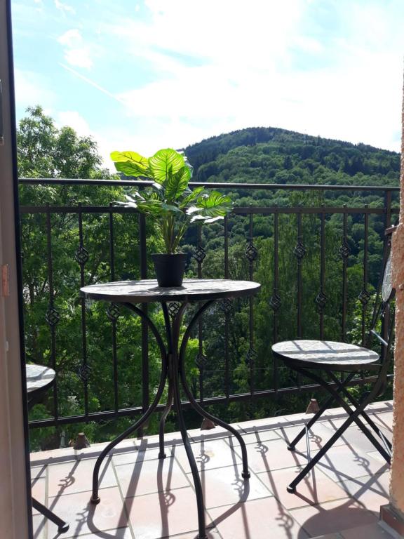 a table with a plant on top of a balcony at Apartmány Marie Jáchymov in Jáchymov