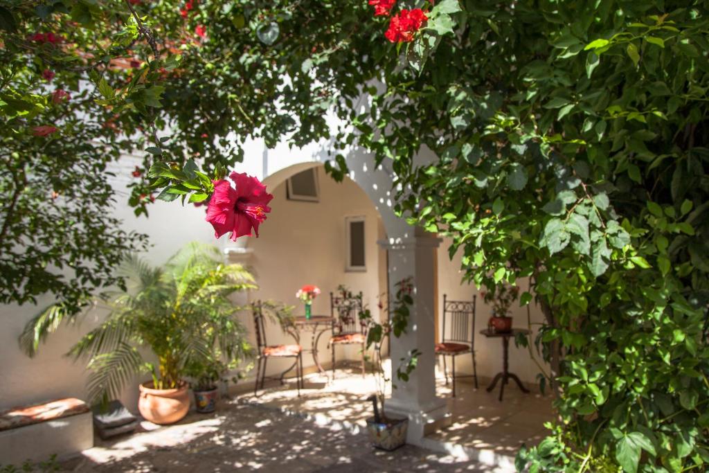 Zahrada ubytování Hotel Casa San Miguel