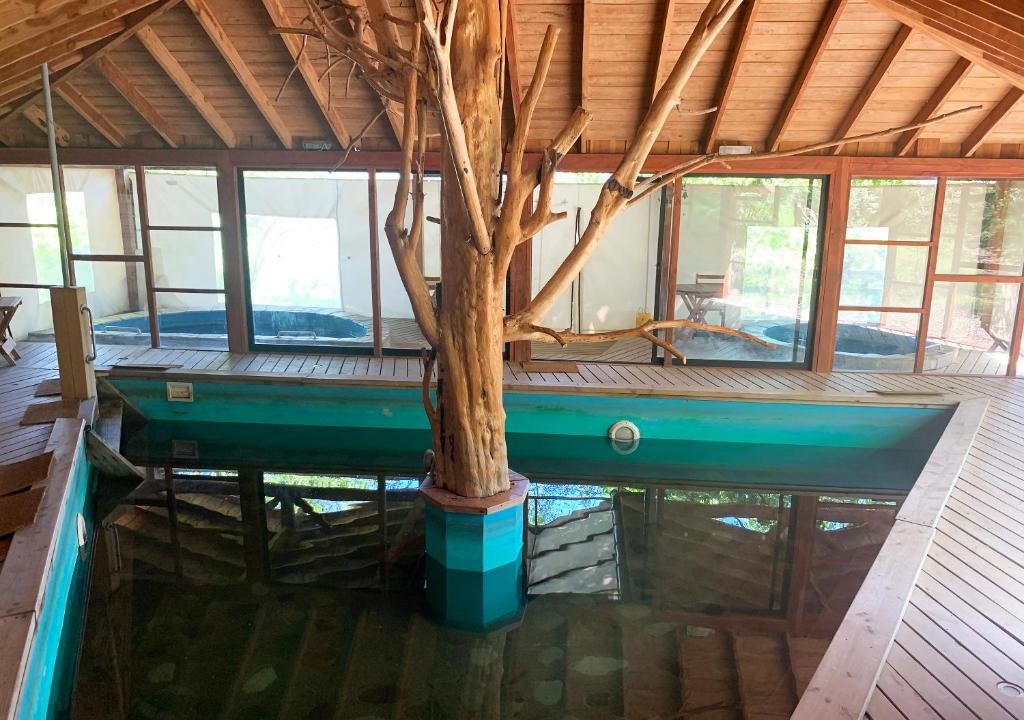 un albero al centro di una casa con acqua di Mirador Los Volcanes Lodge & Boutique a Pucón