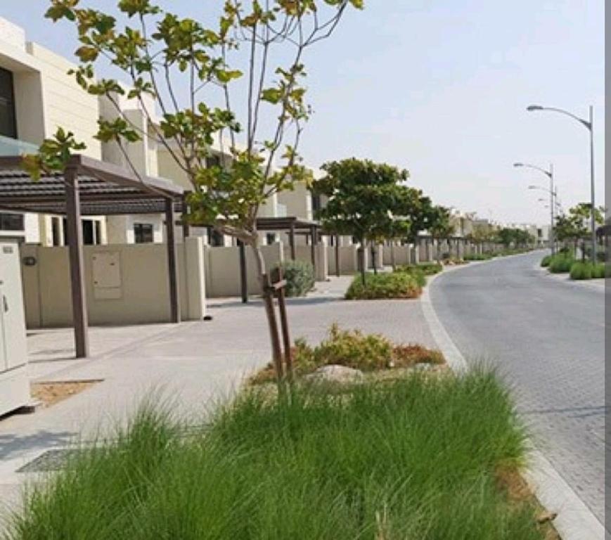 a street with a tree on the side of a road at Dream house dubai in Dubai