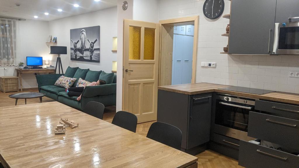 Kuchnia lub aneks kuchenny w obiekcie Apartman692