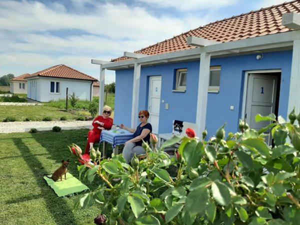 Duas mulheres sentadas numa mesa de piquenique em frente a uma casa. em Termalna Rivijera Apartmani em Bogatić