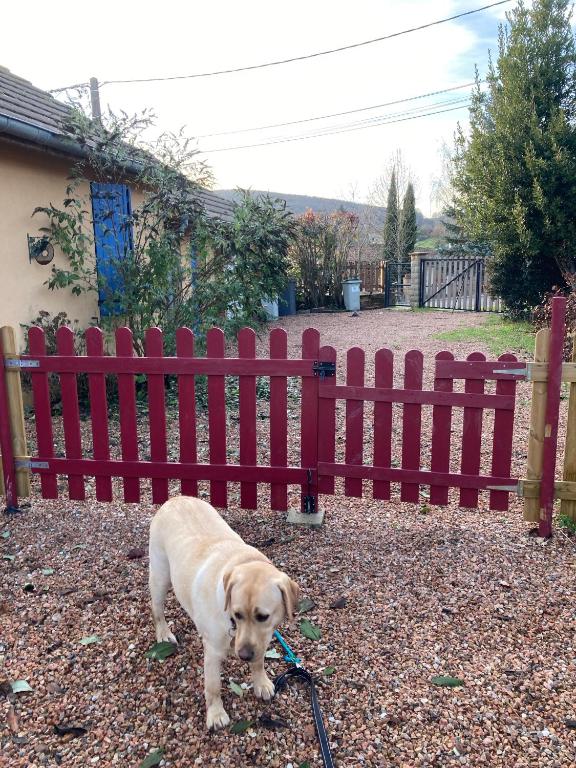 &#x414;&#x43E;&#x43C;&#x430;&#x448;&#x43D;&#x456; &#x442;&#x432;&#x430;&#x440;&#x438;&#x43D;&#x438;, &#x449;&#x43E; &#x43F;&#x440;&#x43E;&#x436;&#x438;&#x432;&#x430;&#x44E;&#x442;&#x44C; &#x437; &#x433;&#x43E;&#x441;&#x442;&#x44F;&#x43C;&#x438; &#x443; Le jardin de THELEME &quot;Charme discret pour un nid douillet&quot;