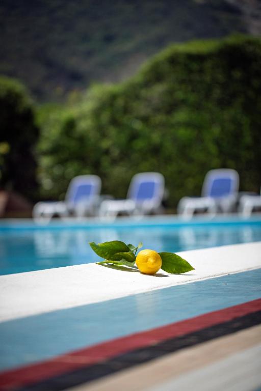 a lemon sitting on a table next to a pool at Hotel Della Baia in Portovenere