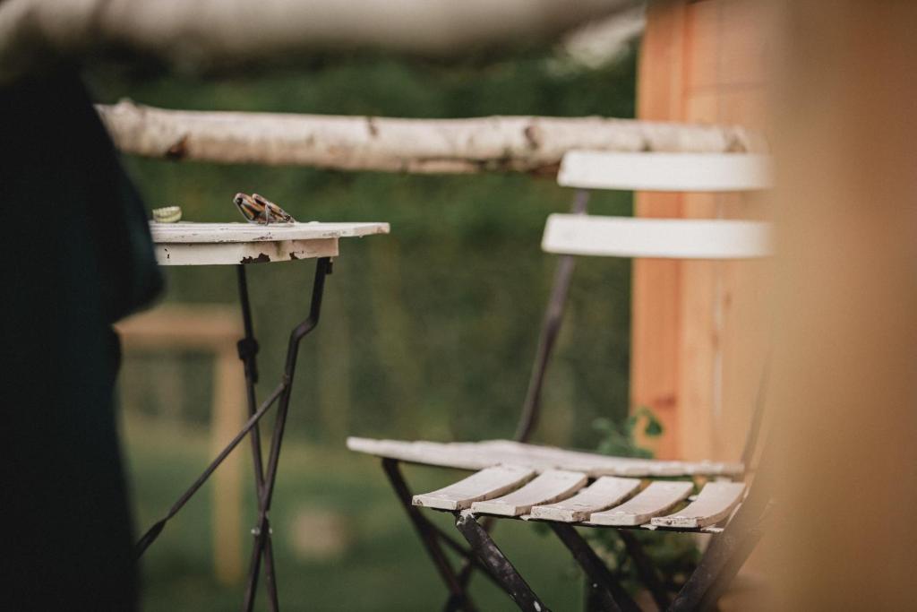 Fotografie z fotogalerie ubytování Joly Tiny House v destinaci Overijse