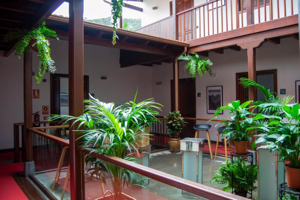 Hotel Escuela Rural Casa Los Herrera في إرميغوا: غرفة بها مجموعة من النباتات وشرفة