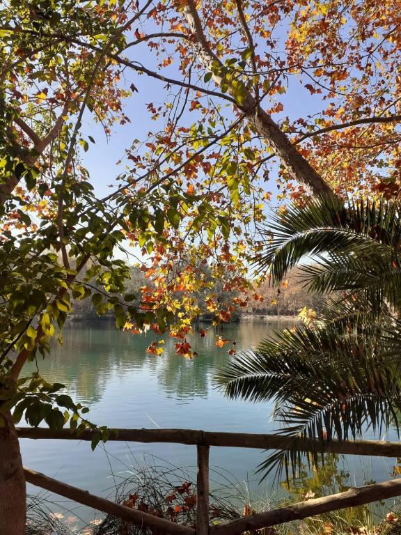 El Palacio Rooms Anna, Anna – Updated 2023 Prices
