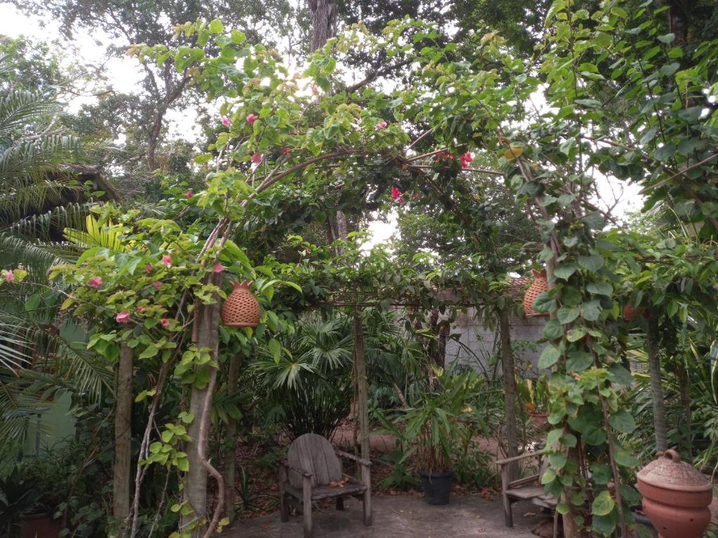  Atlantic forest suite