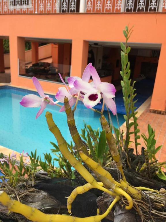  Casa da Lagoinha (BAIRRO DA LAGOINHA )