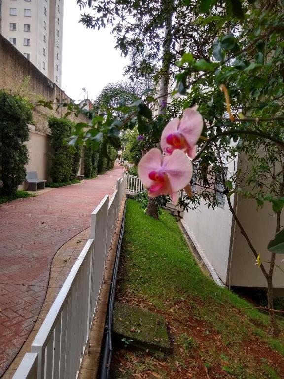 Condomínio Residencial Sebastian Bach