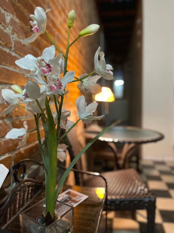 Fotografie z fotogalerie ubytování Boutique Hotel Belgica v destinaci Ponce