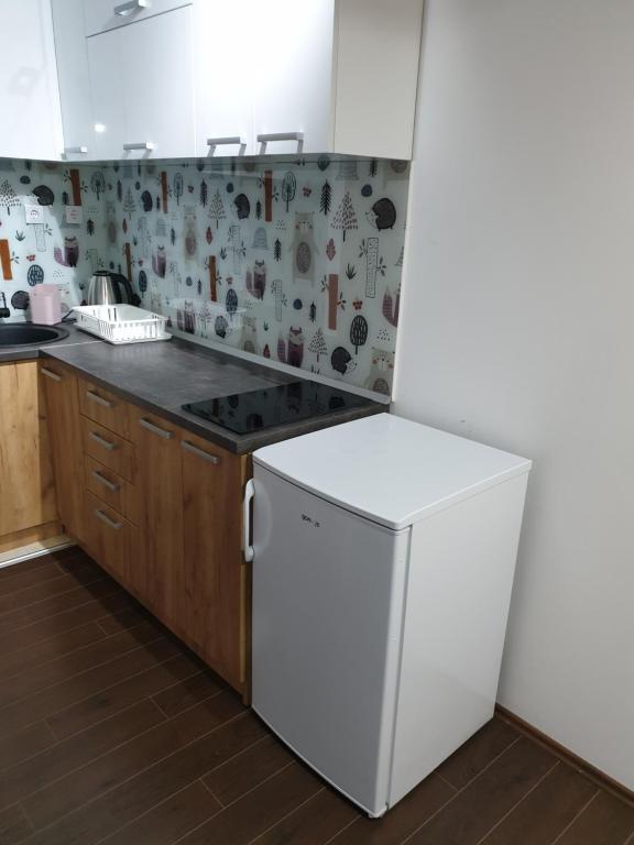 Kuchyň nebo kuchyňský kout v ubytování Apartman Lisica 24