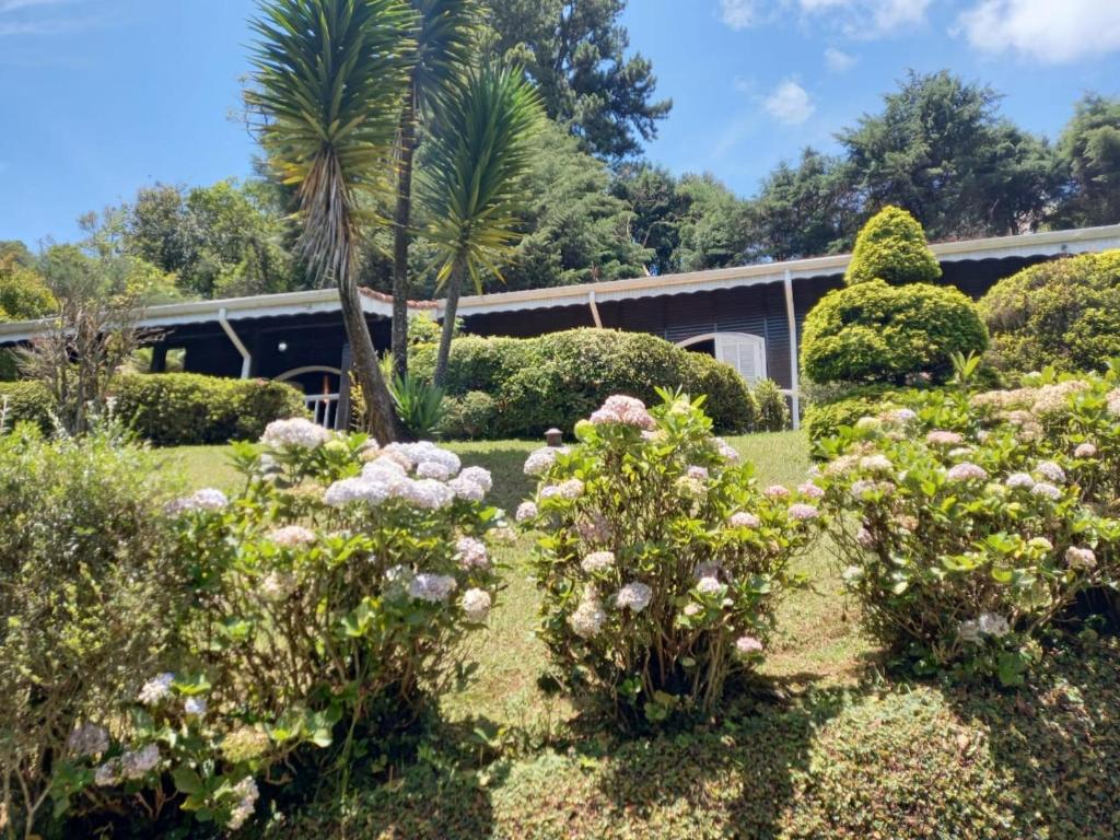 un giardino con cespugli e fiori di fronte a un edificio di Casa em campos do Jordão a Campos do Jordão