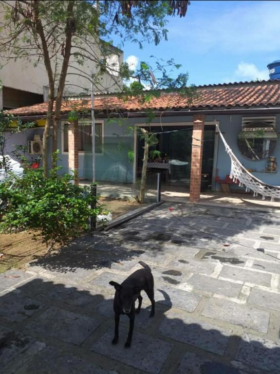  Quarto Alegria