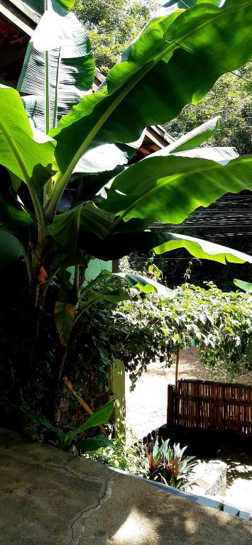  Suíte Som do Mar da Vermelha do Centro