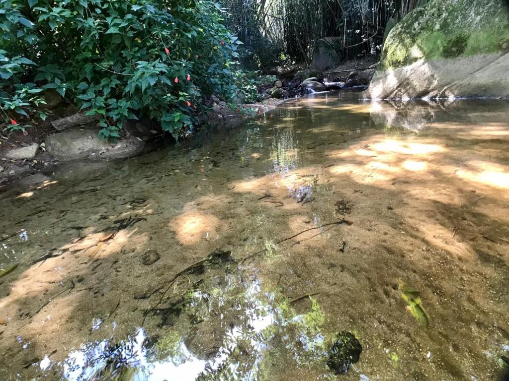  Casinha na Mata próximo à Cachoeira - Cocaia135
