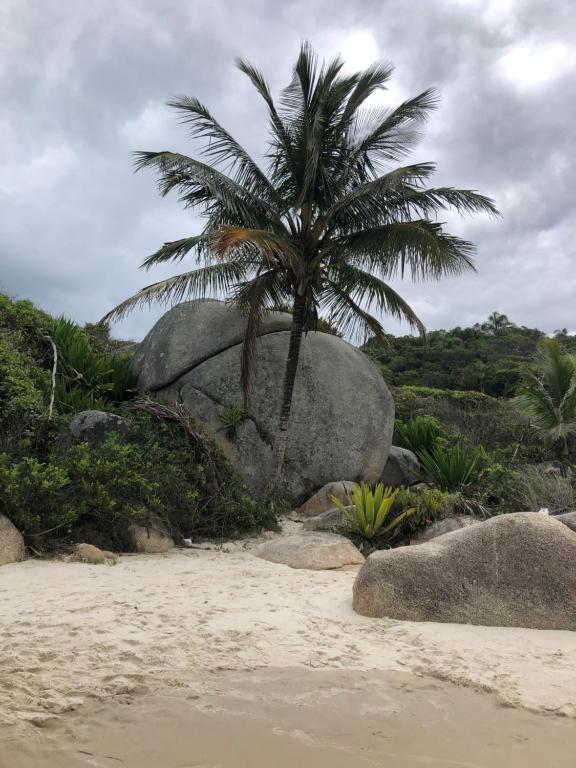  Apartamento novo Praia Grande