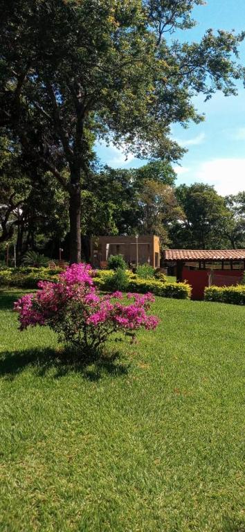  Chalés Jardim da Serra