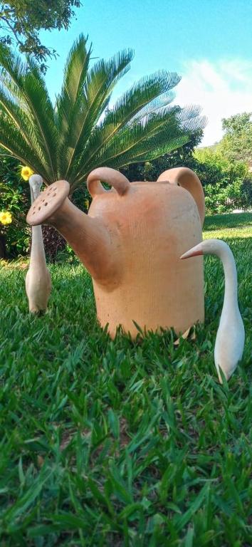  Chalés Jardim da Serra