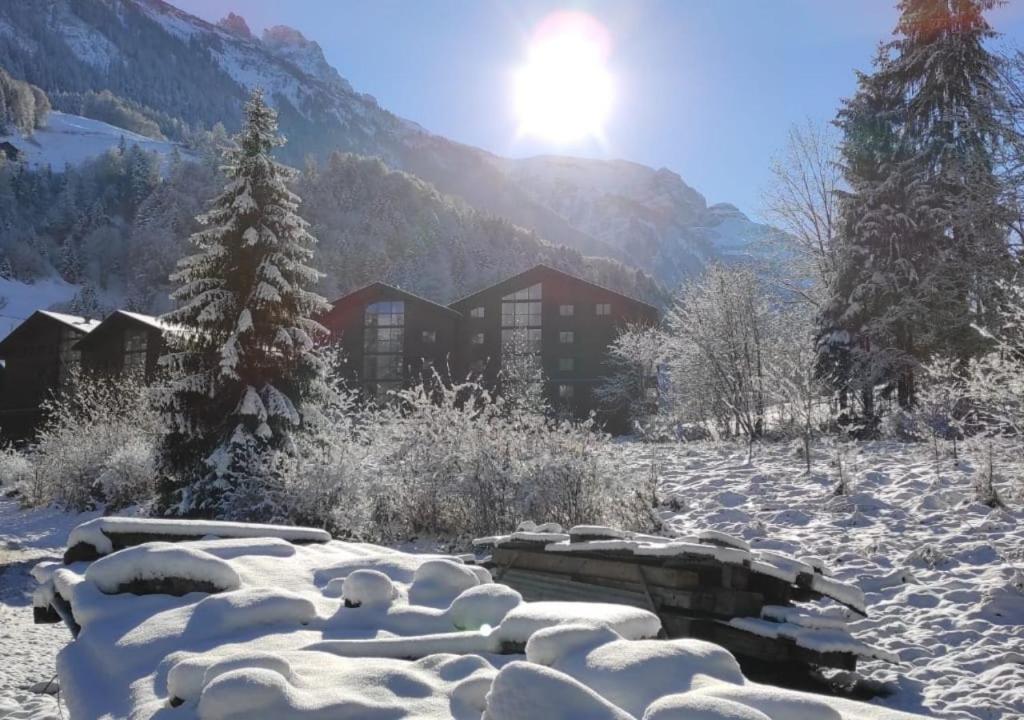 Aparthotel Mountain River Resort - Studio