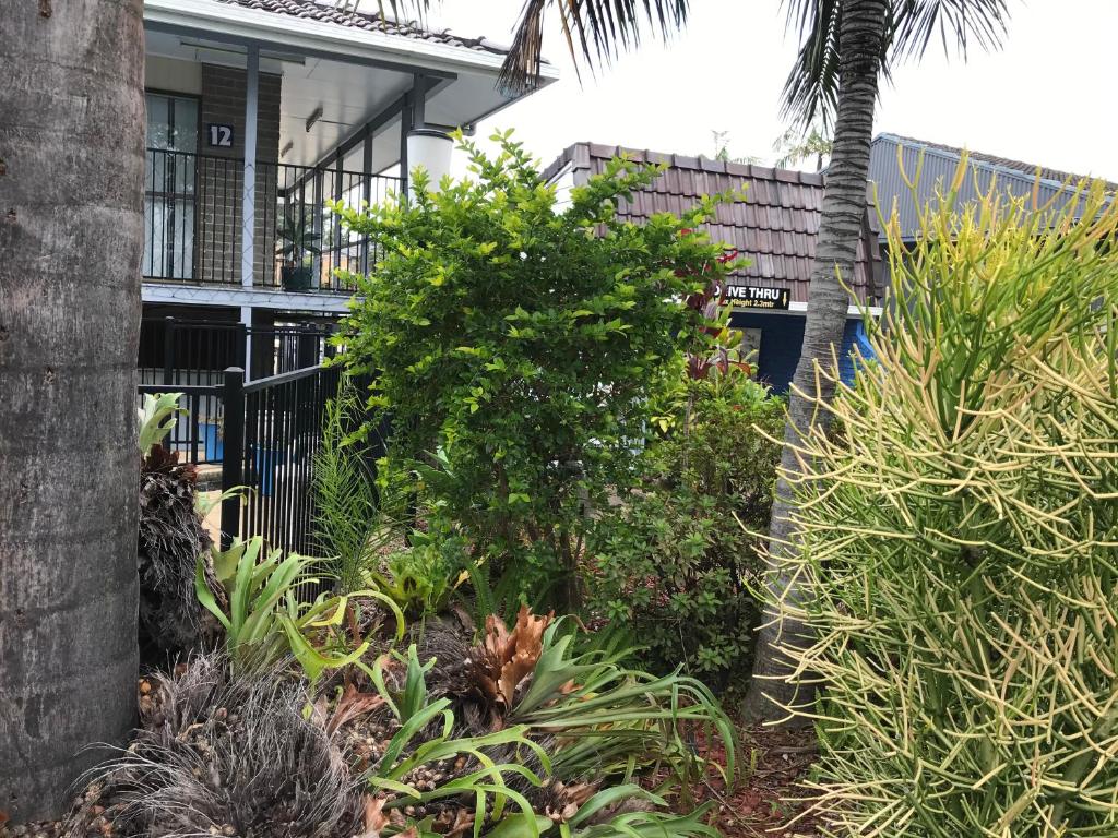 Zahrada ubytování Coffs Shearwater Motel