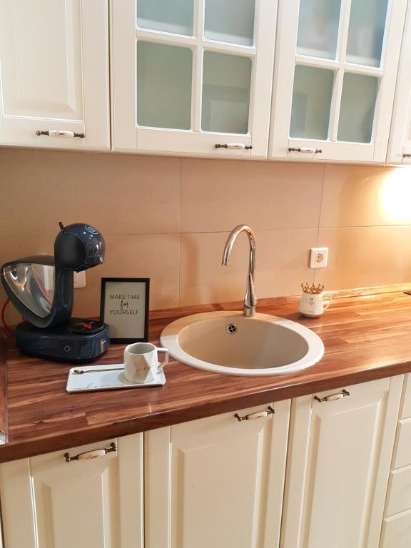 een aanrecht met een wastafel en een koffiezetapparaat bij Zlatibor lux Kalman in Zlatibor