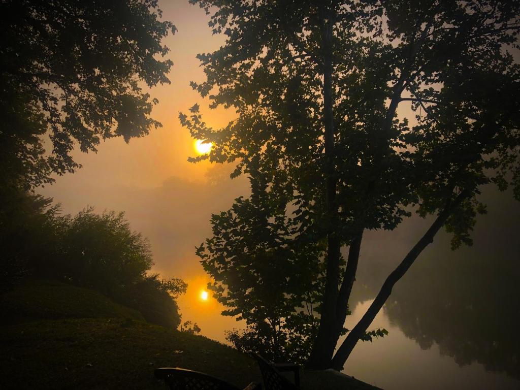 Un lever brumeux avec deux arbres au premier plan dans l'établissement RiversEdge, à Bastrop