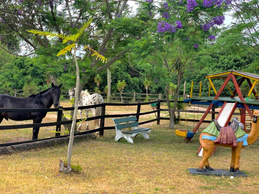  Cabanas do Sul